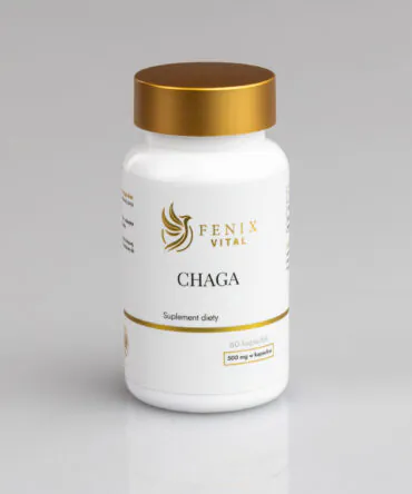 Chaga
