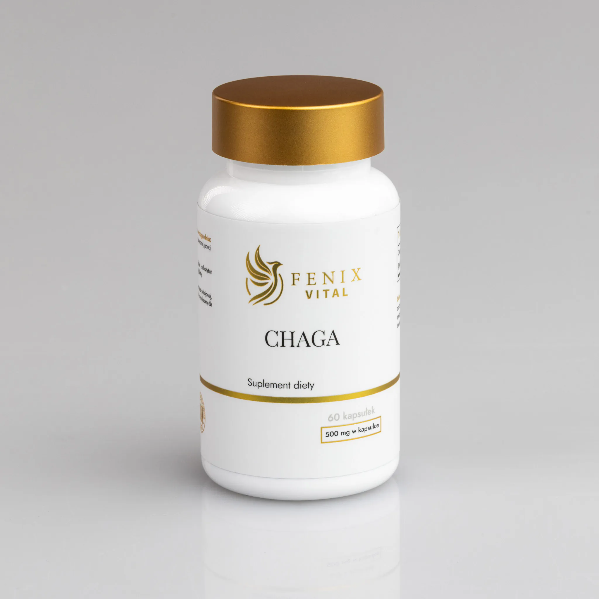 Chaga